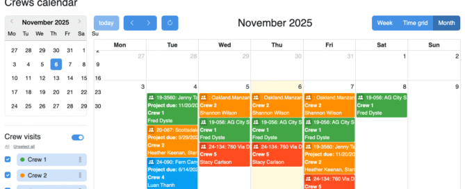 A colorful, detailed November 2025 calendar with various events and appointments.